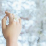 「偽りの森」　花房観音