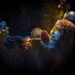 「メグ・アウル:ミステリアス・クリスマス2」　ギャリー・キルワース他著