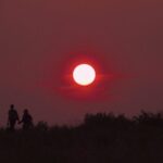 「ライオンハート」 恩田陸