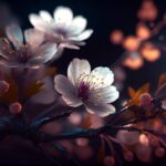 「花宵道中」　宮木あや子