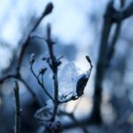 「氷河期のゴミ」 櫛木理宇